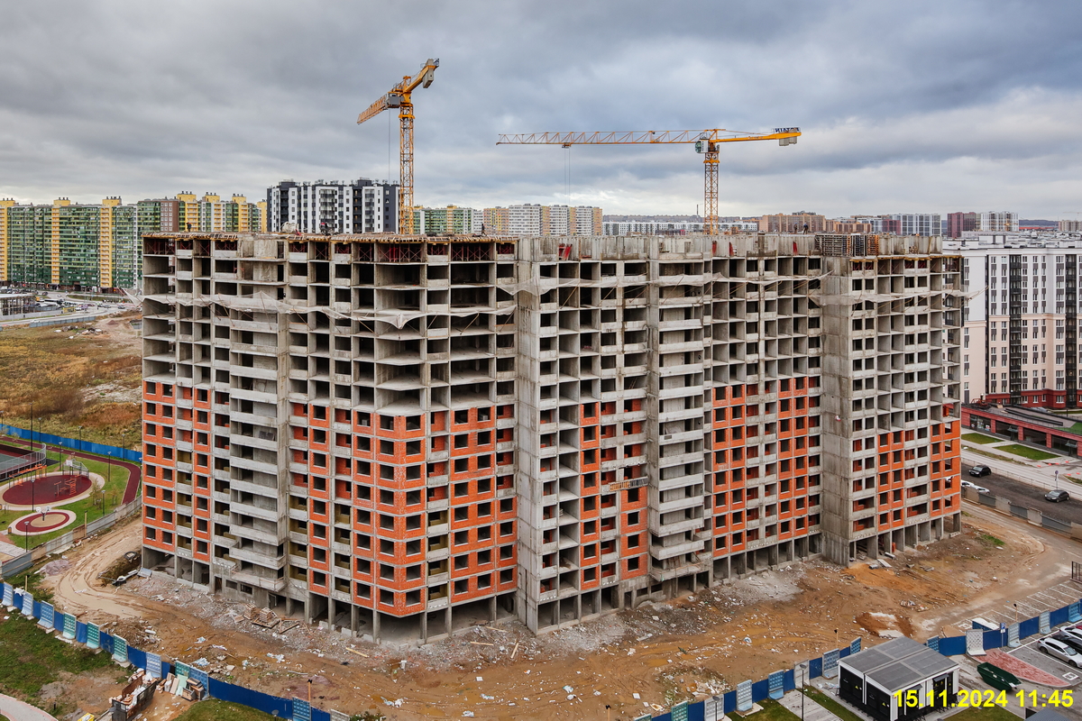 15 ноября 2024