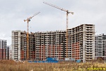 15 ноября 2024