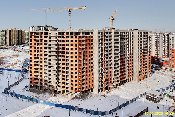 15 марта 2025