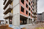 15 ноября 2024