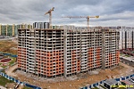 15 ноября 2024